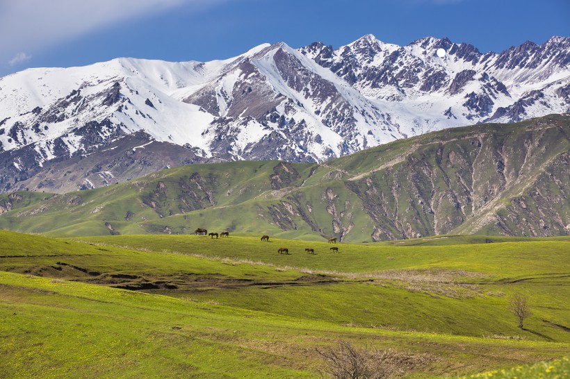 点击大图看下一张：新疆大西沟风景图片