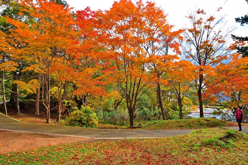 点击大图看下一张：日本大沼国定公园风景图片