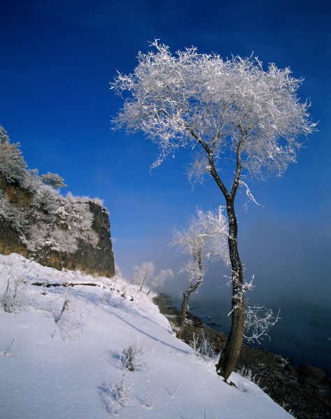 点击大图看下一张：东北哈尔滨冬景图片