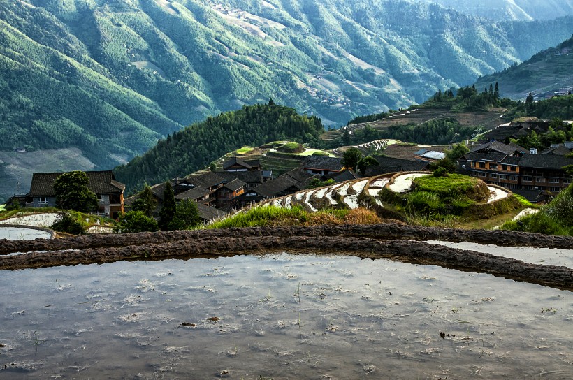 点击大图看下一张：广西龙脊梯田风景图片