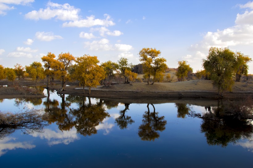 点击大图看下一张:内蒙古额济纳胡杨林风景图片
