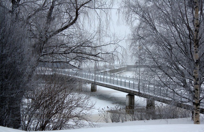 点击大图看下一张：芬兰的雪图片