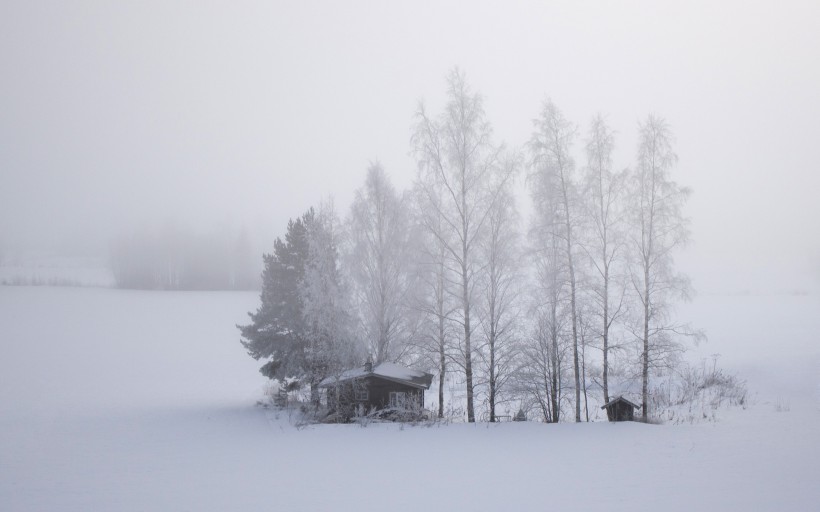 点击大图看下一张：芬兰的雪图片
