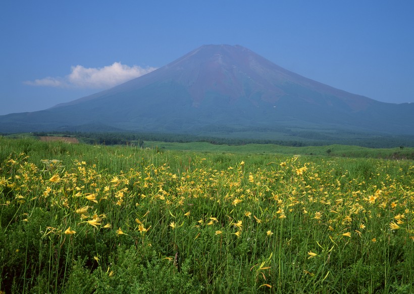 点击大图看下一张：日本富士山春天风景图片