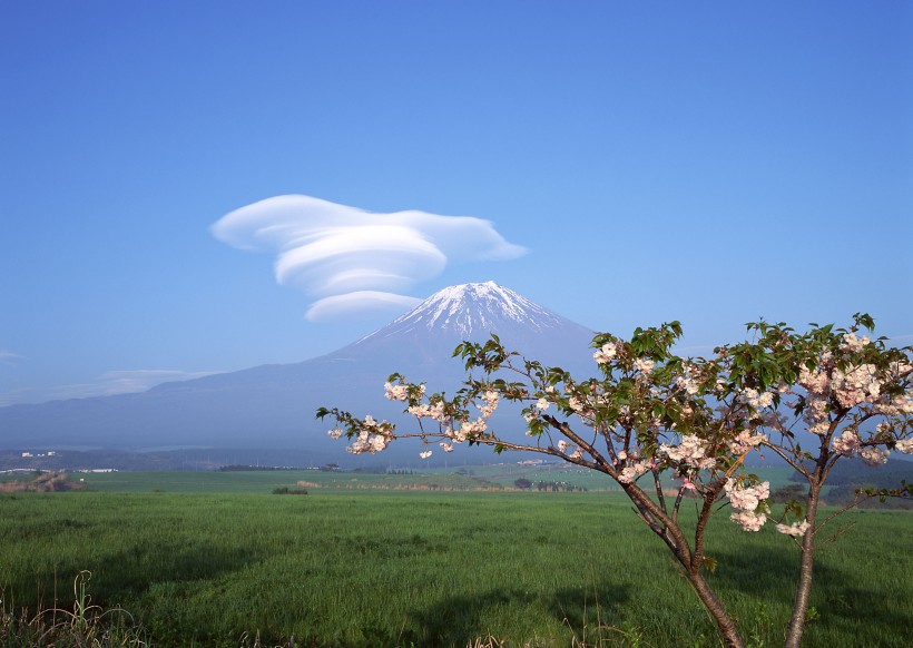 点击大图看下一张：日本富士山春天风景图片