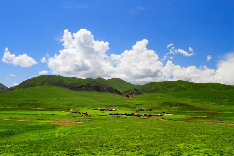 点击大图看下一张：甘肃甘南风景图片