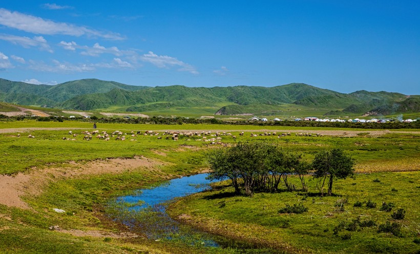 点击大图看下一张：甘南草原风景图片