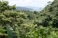 美国哥斯达黎加热带雨林风景图片_11张