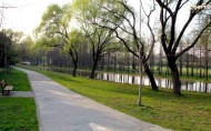 上海共青森林公园风景图片_8张