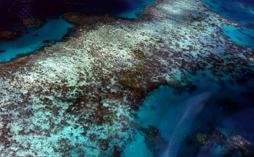 点击大图看下一张：澳大利亚大堡礁图片