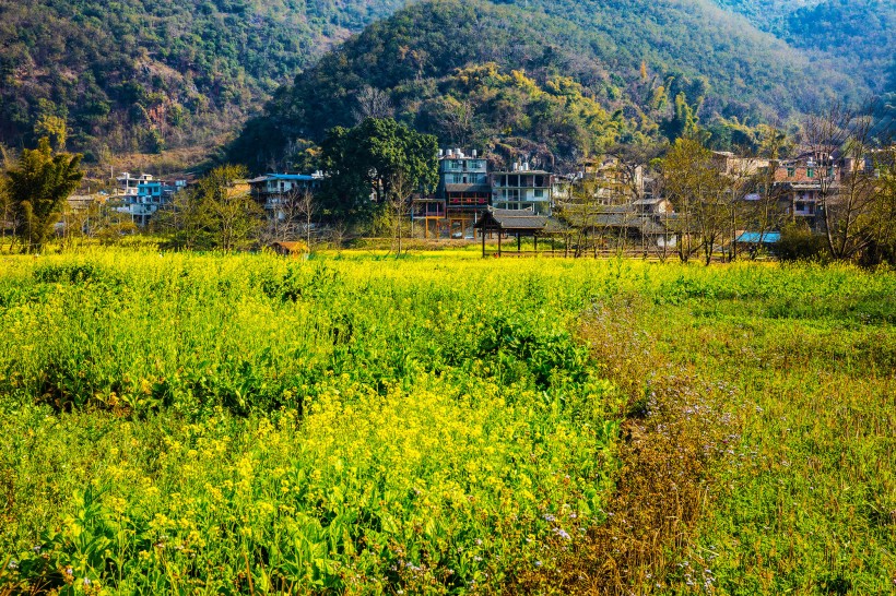 点击大图看下一张：广西桂林世外桃源风景图片