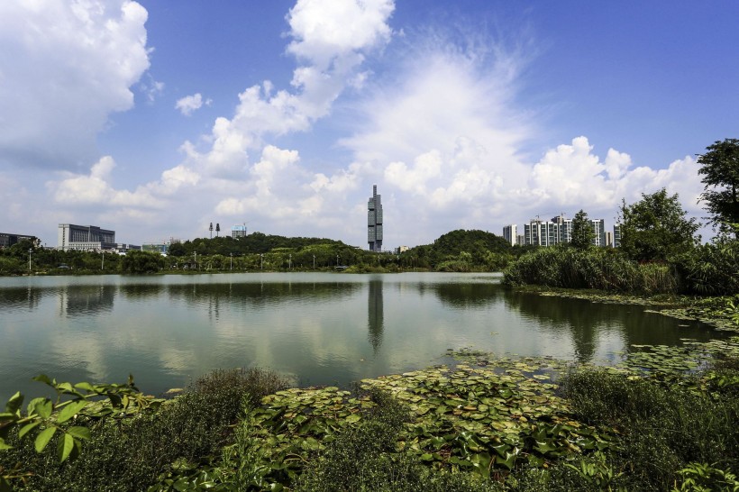 点击大图看下一张：贵州贵阳观山湖公园风景图片
