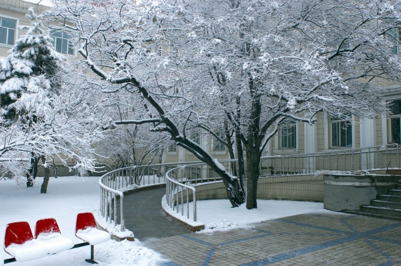 点击大图看下一张：哈尔滨冬天风景图片