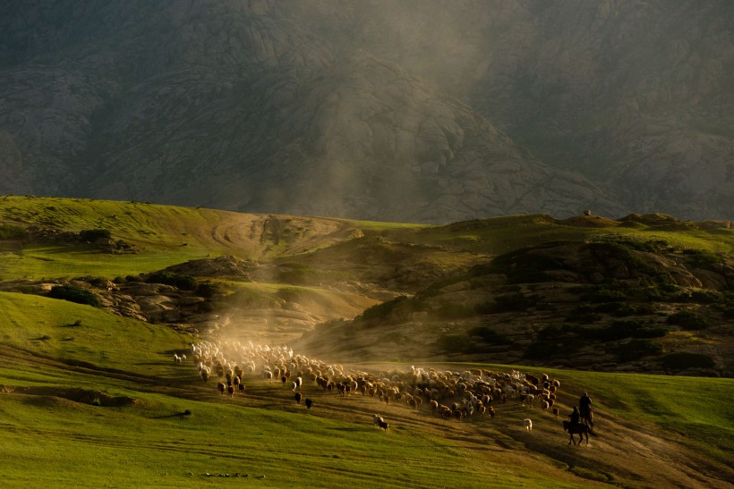 点击大图看下一张：新疆阿勒泰哈萨克牧民夏季大迁徙图片