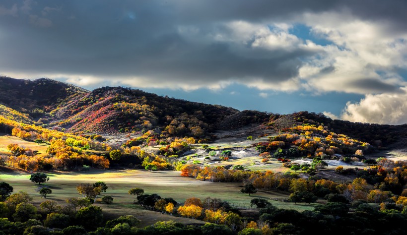 点击大图看下一张：河北坝上秋色风景图片