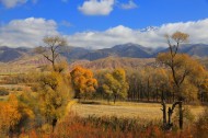 青海黑河大峡谷的秋日风景图片_8张