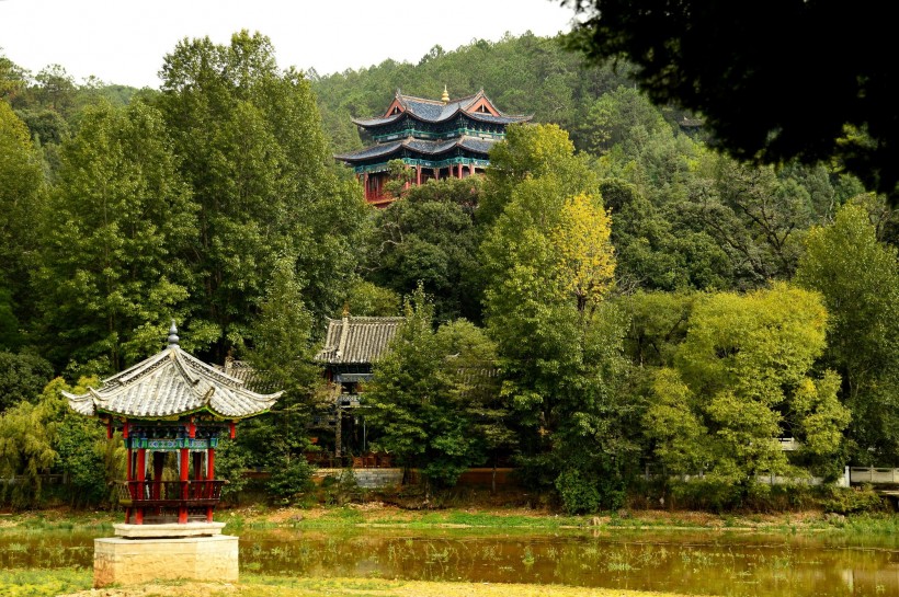 点击大图看下一张：云南丽江黑龙潭公园风景图片
