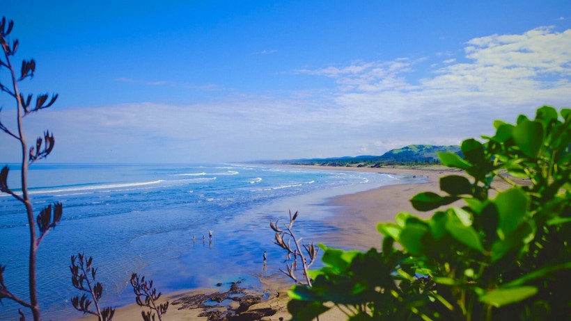 点击大图看下一张：新西兰奥克兰鸟岛黑沙滩风景图片