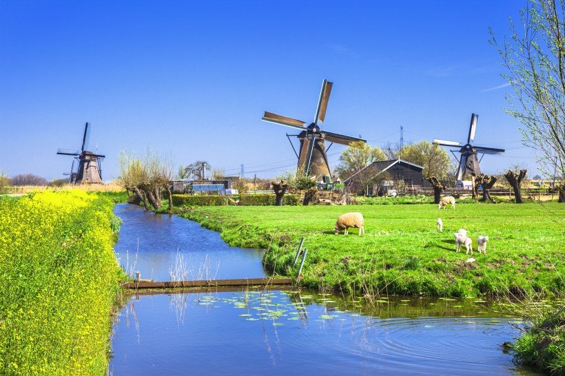 点击大图看下一张：荷兰风车景色图片