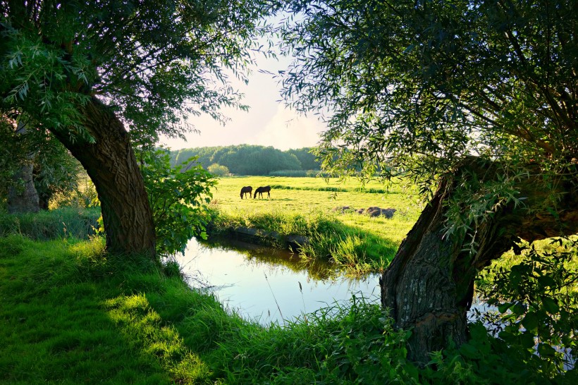 点击大图看下一张：荷兰自然风景图片