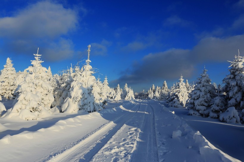 点击大图看下一张：吉林延吉和龙老岭雪景图片