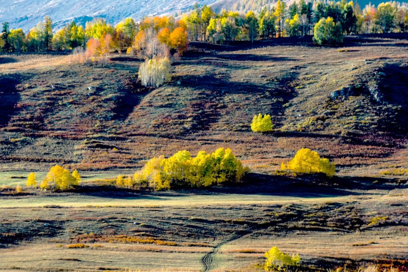 点击大图看下一张：新疆禾木秋色风景图片