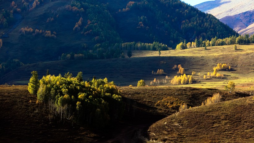 点击大图看下一张：新疆禾木草原图片