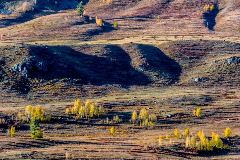 点击大图看下一张：新疆禾木秋色风景图片