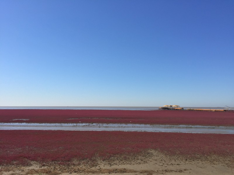 点击大图看下一张：辽宁红海滩风景图片
