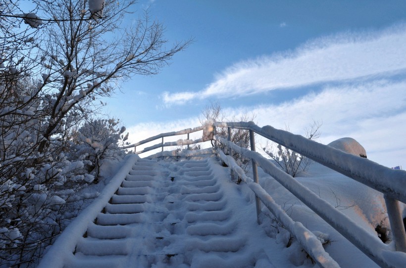 点击大图看下一张：新疆红山雪景图片