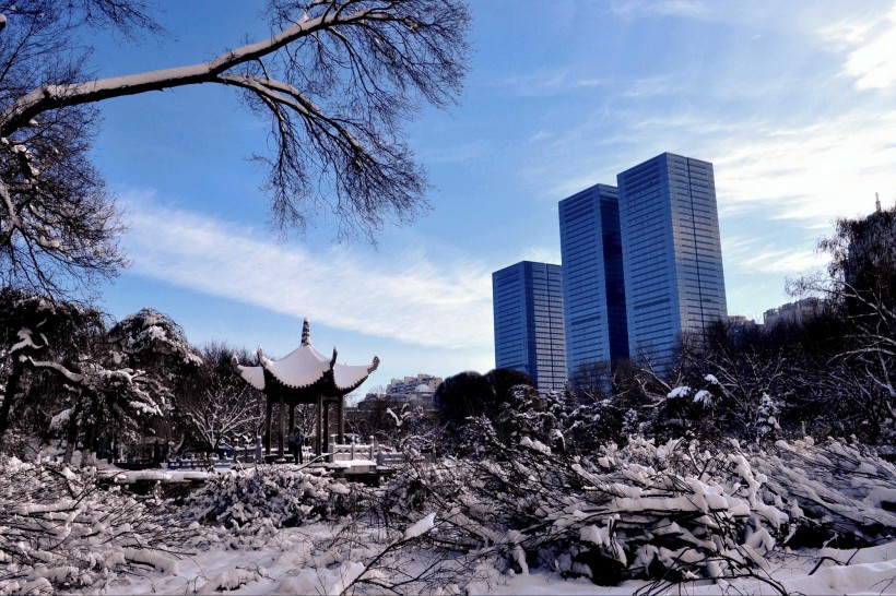 点击大图看下一张：新疆红山雪景图片