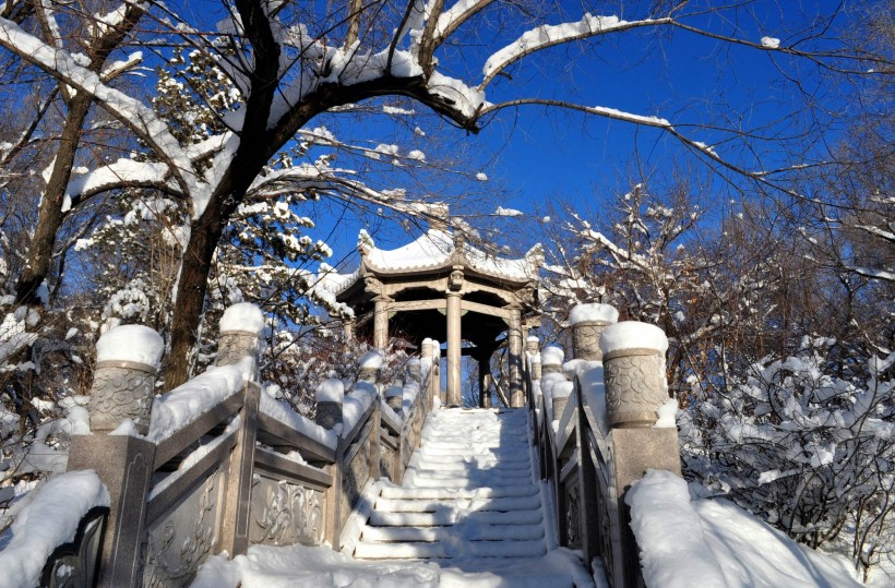 点击大图看下一张：新疆红山雪景图片