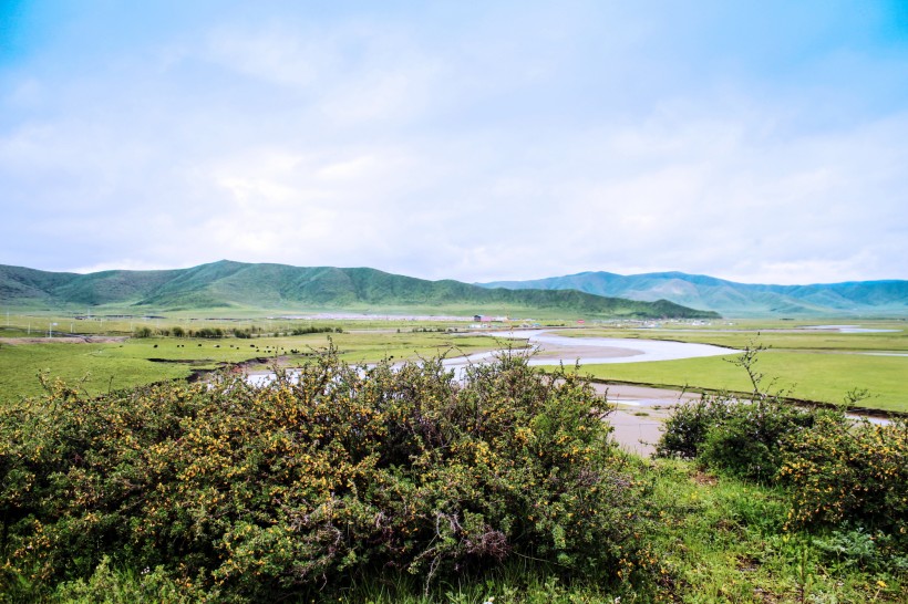 点击大图看下一张：四川阿坝红原风景图片