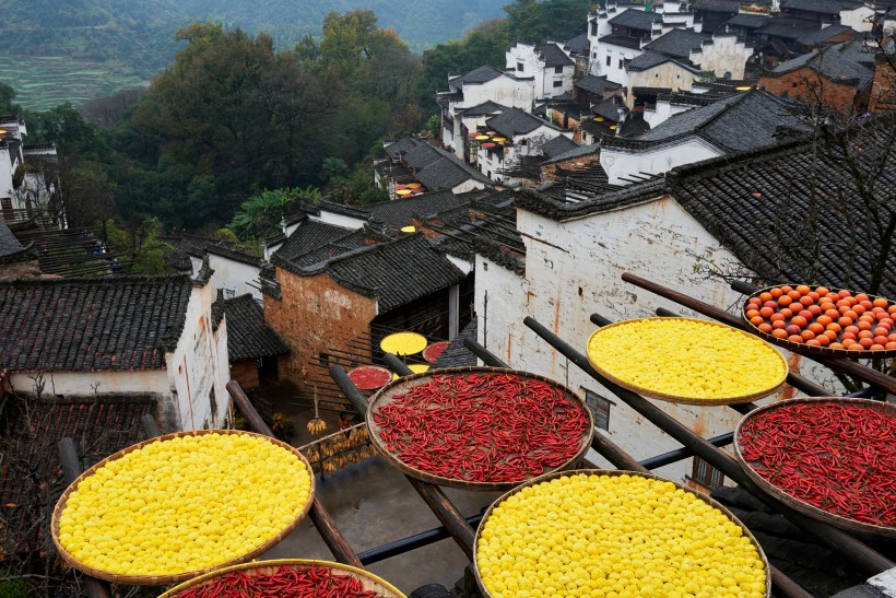 点击大图看下一张：江西婺源篁岭晒秋风景图片