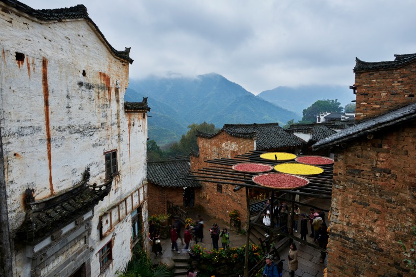 点击大图看下一张：江西婺源篁岭晒秋风景图片