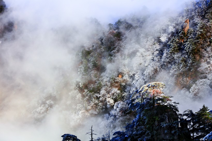 点击大图看下一张：安徽黄山风景图片