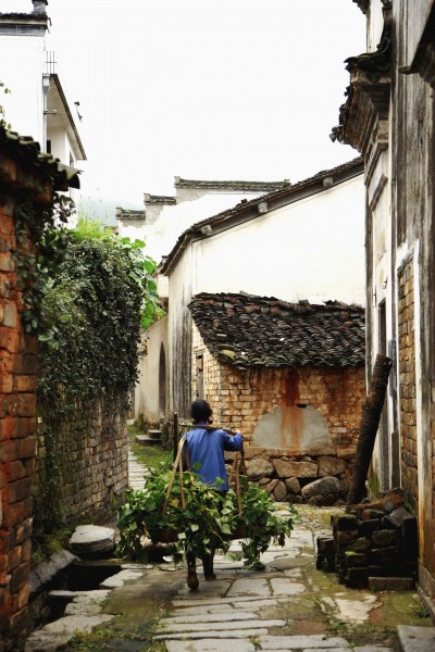 点击大图看下一张：安徽黄山西递风光图片