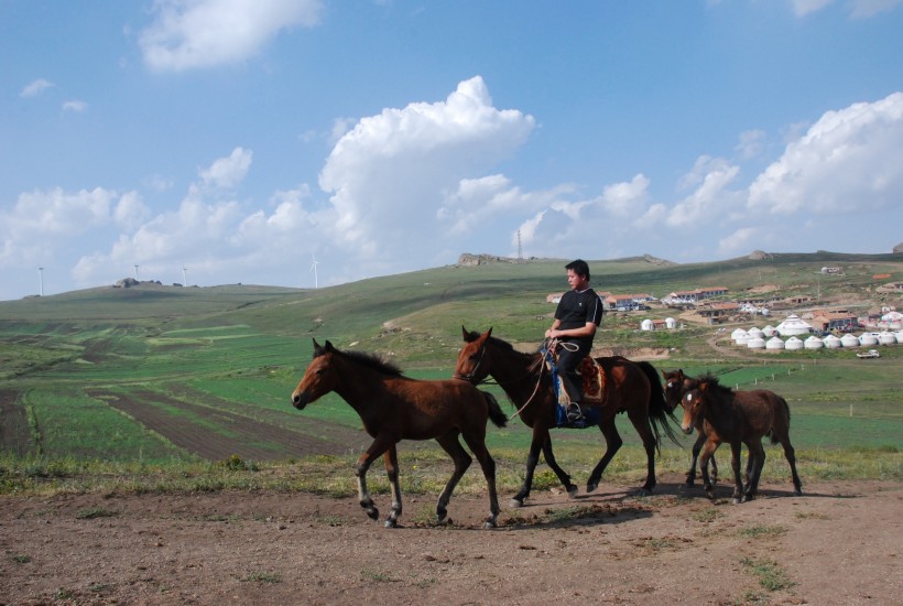 点击大图看下一张：内蒙古乌兰察布辉腾锡勒风景图片