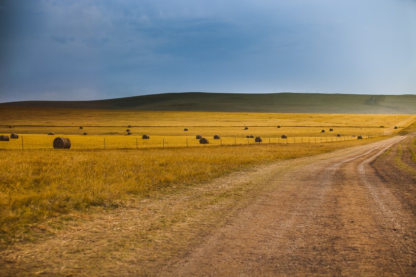 点击大图看下一张：内蒙古呼伦贝尔草原秋天风景图片
