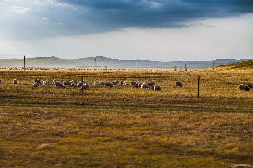 点击大图看下一张：内蒙古呼伦贝尔草原秋天风景图片