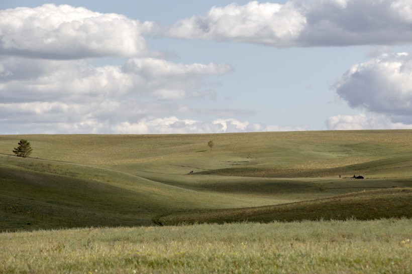 点击大图看下一张：内蒙古呼伦贝尔秋季风景图片