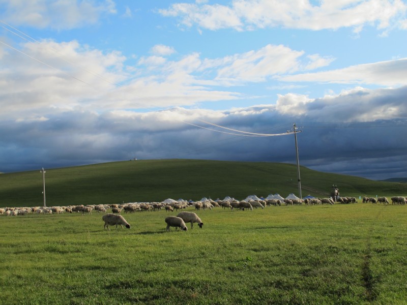 点击大图看下一张：内蒙古呼伦贝尔大草原秀丽风景图片