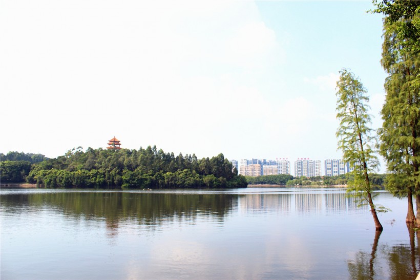 点击大图看下一张：广东东莞虎英公园风景图片
