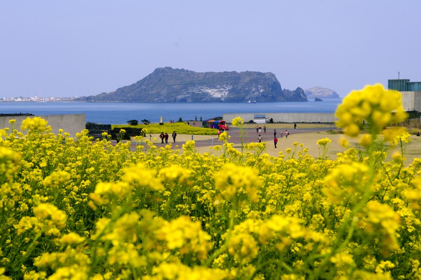 点击大图看下一张：韩国济州岛风景图片