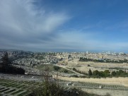 耶路撒冷风景图片_28张