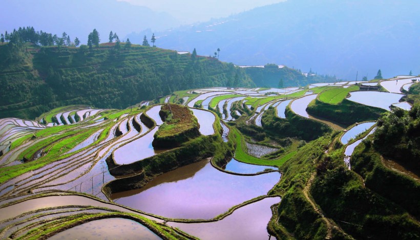 点击大图看下一张：贵州加榜梯田风景图片