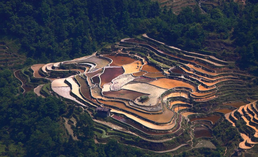 点击大图看下一张：贵州加榜梯田风景图片