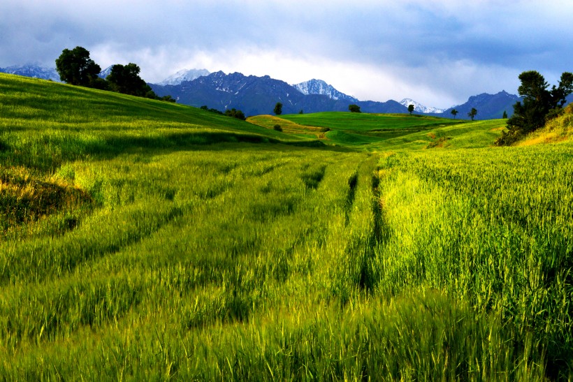点击大图看下一张：新疆奇台江布拉克风景图片