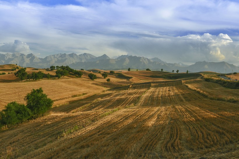 点击大图看下一张：新疆江布拉克风景图片