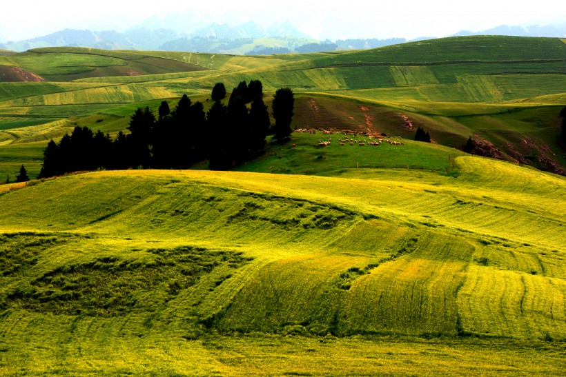 点击大图看下一张：新疆奇台江布拉克风景图片